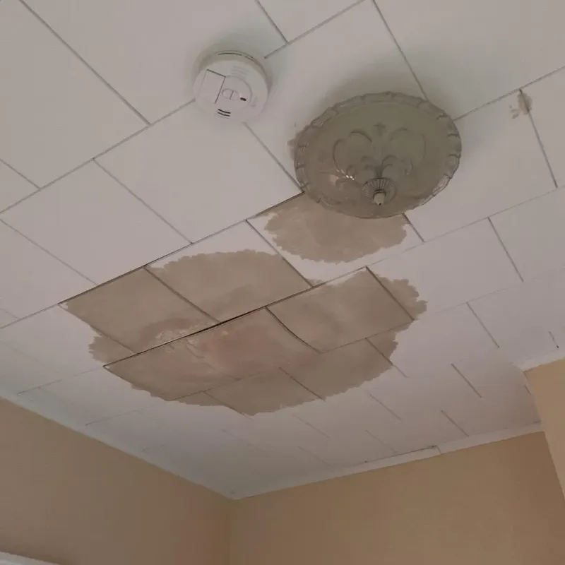 Ceiling Water Damage Repair in Ridgely, TN