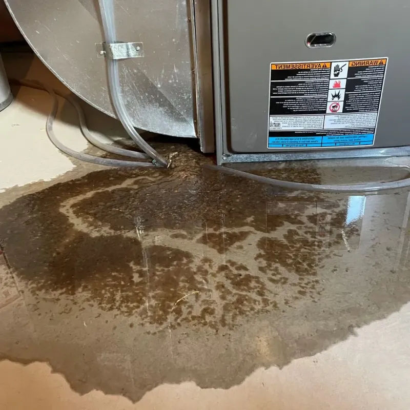 Pipe Burst and Leak Restoration in Ridgely, TN