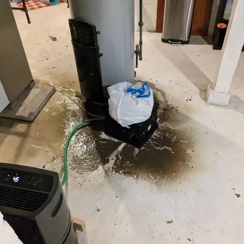 Sewage Backup Cleanup Service in Ridgely, TN